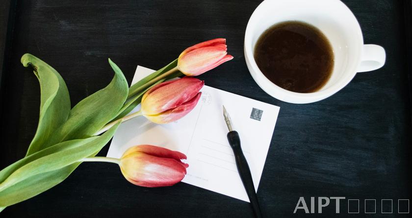 AIPT降AIGC率,AIPT查AIGC率,AIPT论文生成