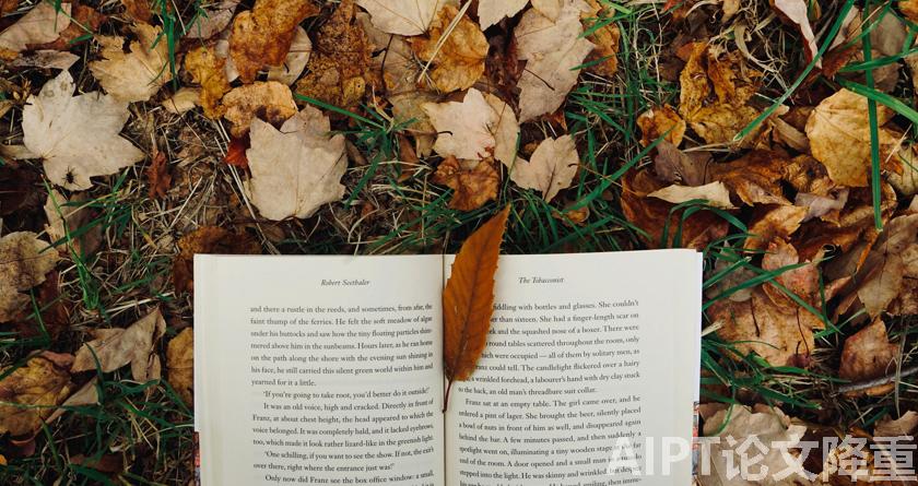 AIPT降AIGC率,AIPT查AIGC率,AIPT论文生成